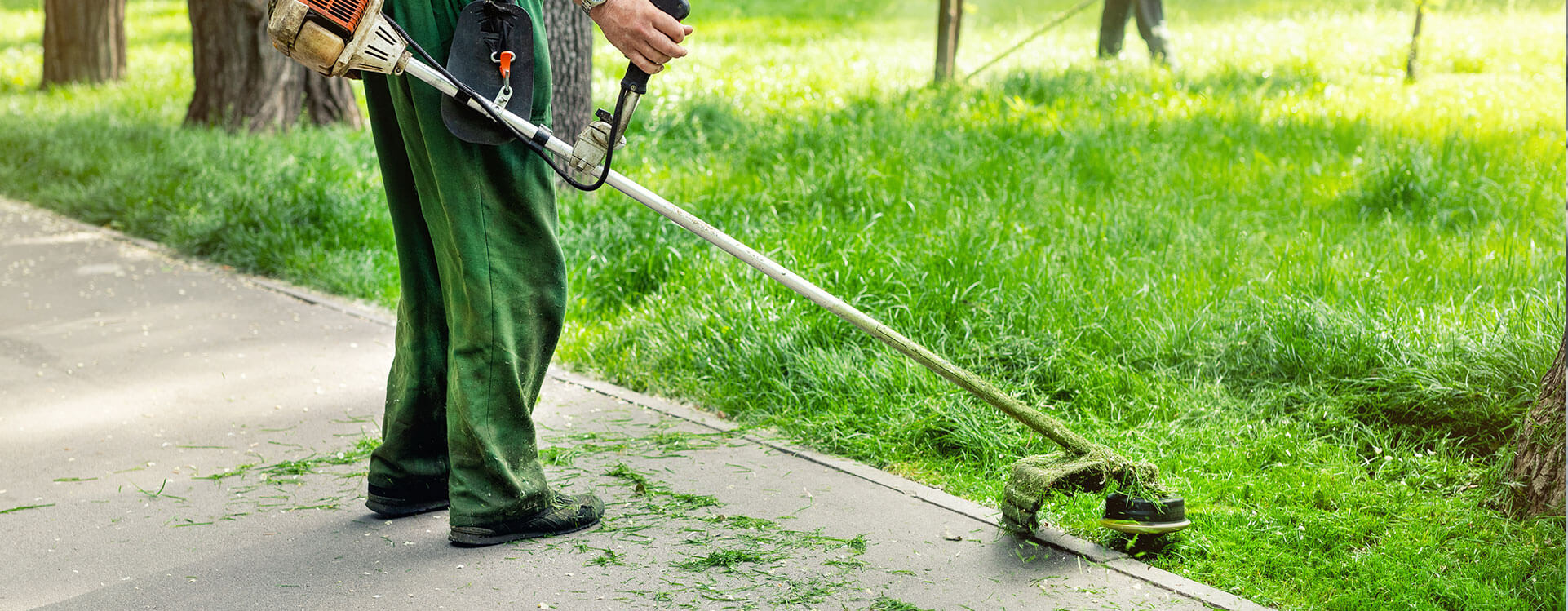 Lawn Services